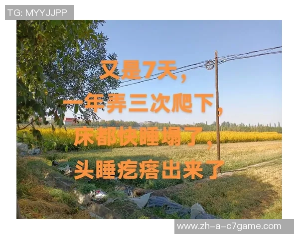 提升身体状态的秘诀华子分享理想睡眠时间每日九到十小时的重要性