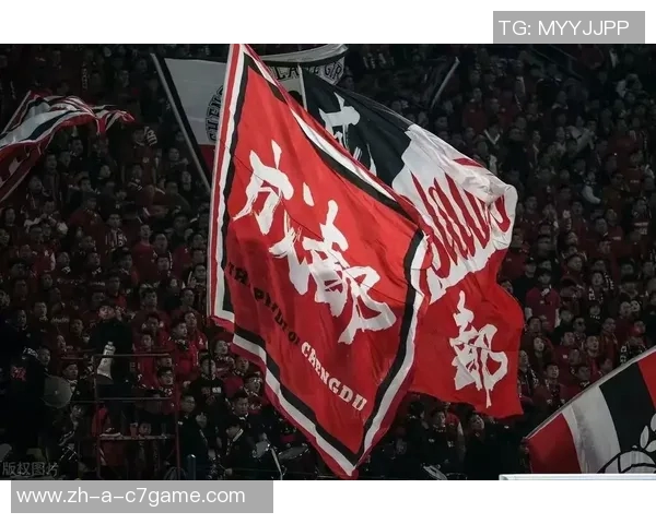 深圳新鹏城与成都蓉城比赛场地调整通知请各位球迷注意安全与安排